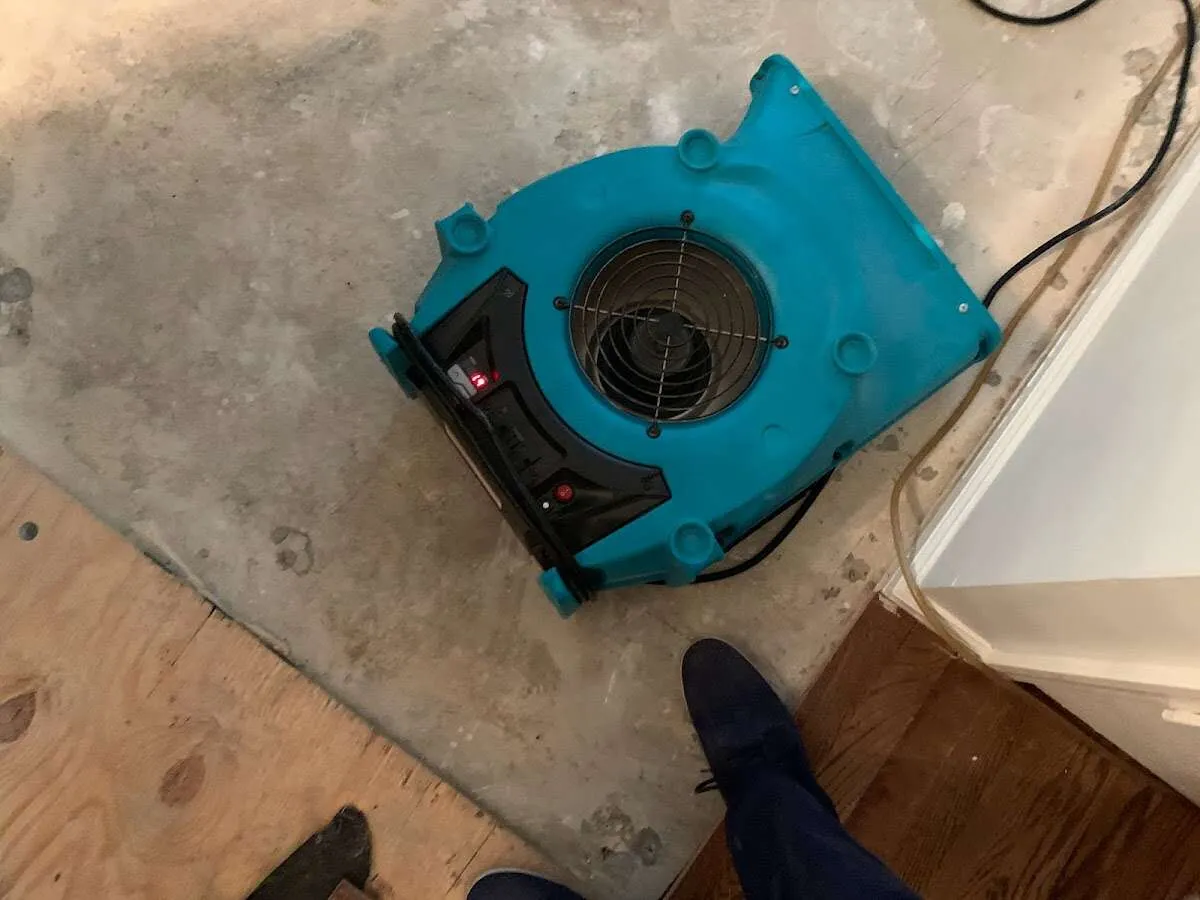 Air mover drying subfloor during Commercial Water Damage Restoration in Wilmore